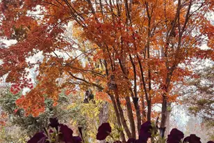 86 R and R Hyder Ln, Hendersonville, NC 28792 - Photo 28