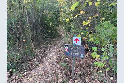 1314 Cortland Road E, Charlotte, NC 28209 - Photo 16