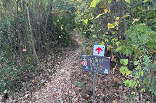 1314 Cortland Rd E, Charlotte, NC 28209 - Photo 16