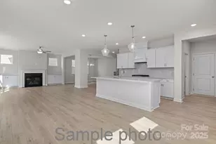 2924 Audubon Ridge, Belmont, NC 28012 - Photo 4