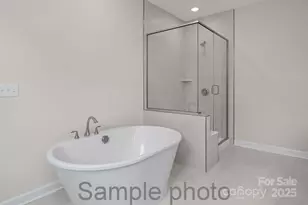 2924 Audubon Ridge, Belmont, NC 28012 - Photo 14