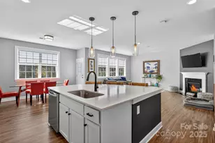 14510 Grundys Way, Davidson, NC 28036 - Photo 4