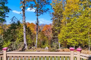 2650 Carson Woods Rd, Laurel Springs, NC 28644 - Photo 38