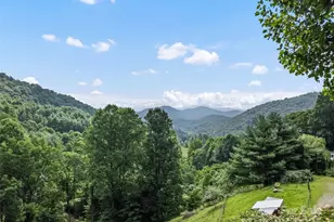 318 Grapevine Cove, Waynesville, NC 28785 - Photo 26