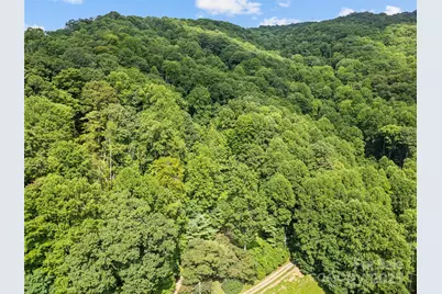 318 Grapevine Cove, Waynesville, NC 28785 - Photo 40