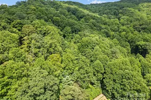 318 Grapevine Cove, Waynesville, NC 28785 - Photo 40