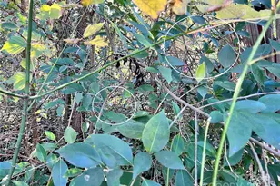 0 Malvern Dr SW, Concord, NC 28025 - Photo 4