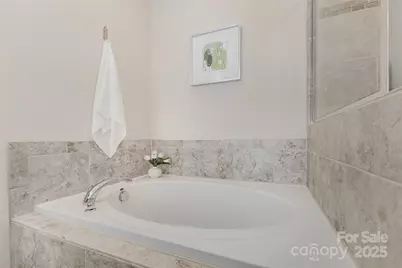 235 Butterfly Place, Tega Cay, SC 29708 - Photo 20
