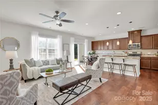 235 Butterfly Pl, Tega Cay, SC 29708 - Photo 4