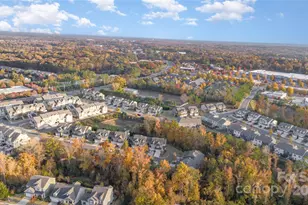 235 Butterfly Pl, Tega Cay, SC 29708 - Photo 38