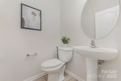 235 Butterfly Place, Tega Cay, SC 29708 - Photo 30