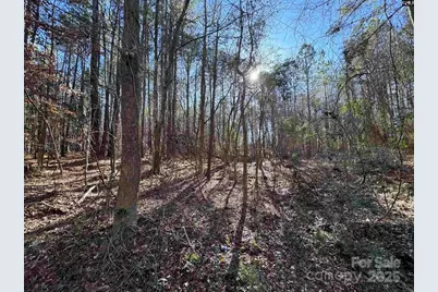 Tbd Theron Circle, Lancaster, SC 29720 - Photo 4