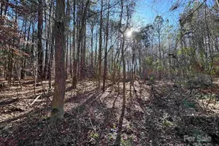 Tbd Theron Circle, Lancaster, SC 29720 - Photo 4