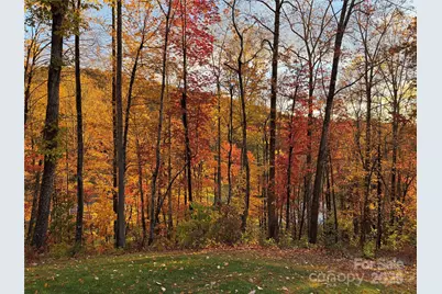 130 Charity Lane, Candler, NC 28715 - Photo 26