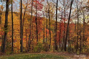 130 Charity Ln, Candler, NC 28715 - Photo 26