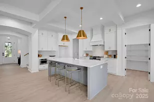 2816 Springway Dr, Charlotte, NC 28205 - Photo 8