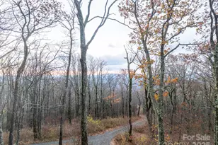 1390 Ransey Woodring Rd, Todd, NC 28684 - Photo 48