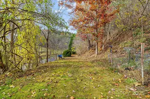 2896 Old Mars Hill Hwy, Weaverville, NC 28787 - Photo 40