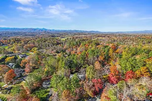 228 Raintree Dr, Hendersonville, NC 28791 - Photo 36