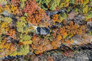 2149 Williamson Creek Rd, Pisgah Forest, NC 28768 - Photo 36