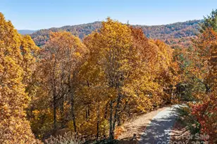707 Overlook Dr, Flat Rock, NC 28731 - Photo 1