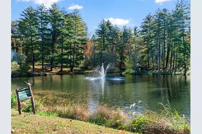 105 Goldfinch Lane, Asheville, NC 28803 - Photo 34