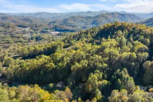 621 Kitchens Branch Rd, Sylva, NC 28779 - Photo 2