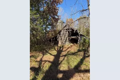 523 McDade Road, Tryon, NC 28782 - Photo 28