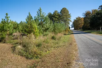 523 McDade Road, Tryon, NC 28782 - Photo 2
