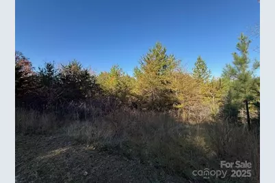 523 McDade Road, Tryon, NC 28782 - Photo 38