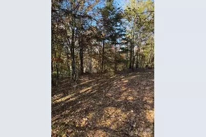 523 McDade Road, Tryon, NC 28782 - Photo 36