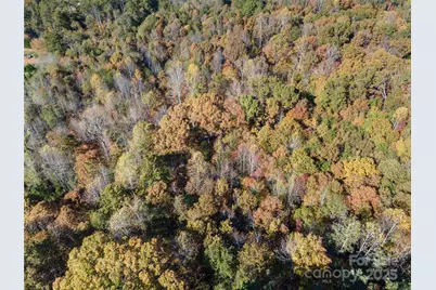 523 McDade Road, Tryon, NC 28782 - Photo 20