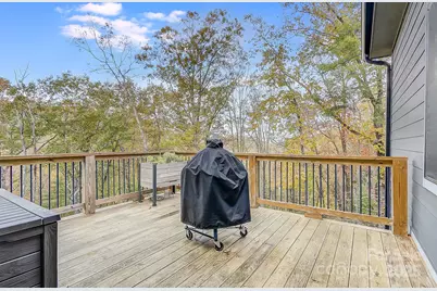 250 Judson Ridge Road, Arden, NC 28704 - Photo 20