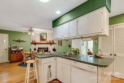 20 Memminger Drive, Flat Rock, NC 28731 - Photo 14