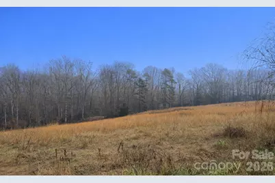 424 Rollingbrook Road, Kings Mountain, NC 28086 - Photo 4