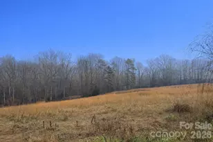 424 Rollingbrook Rd, Kings Mountain, NC 28086 - Photo 4