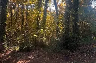 1350 21st Ave NE, Hickory, NC 28601 - Photo 4