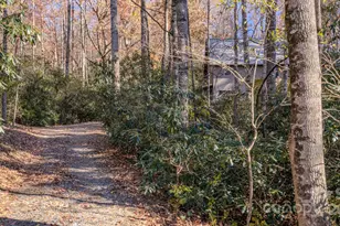 410 Avena Rd, Black Mountain, NC 28711 - Photo 32