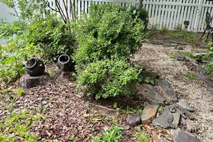 1144 Blowing Rock Cove, Fort Mill, SC 29708 - Photo 22