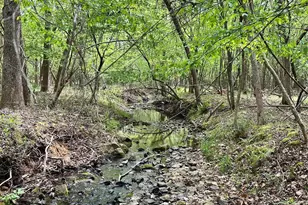 7922 Silver Maple Ln, Mint Hill, NC 28227 - Photo 4