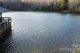 48 & 50 Wild Turkey Run, Black Mountain, NC 28711 - Photo 46