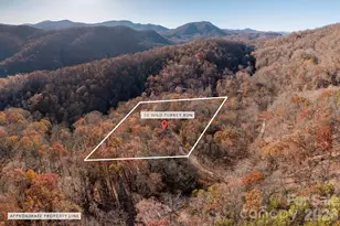 48 & 50 Wild Turkey Run, Black Mountain, NC 28711 - Photo 44