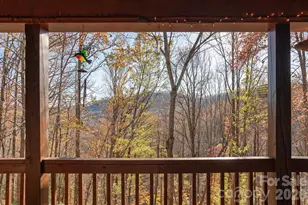 48 & 50 Wild Turkey Run, Black Mountain, NC 28711 - Photo 14