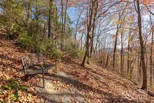 48 & 50 Wild Turkey Run, Black Mountain, NC 28711 - Photo 42