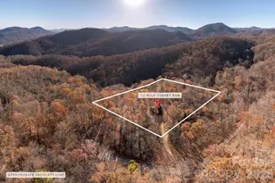 48 & 50 Wild Turkey Run, Black Mountain, NC 28711 - Photo 42