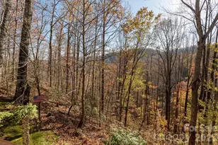 48 & 50 Wild Turkey Run, Black Mountain, NC 28711 - Photo 8
