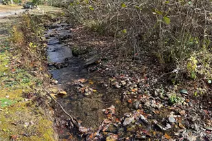 1917 Longbottom Rd, McGrady, NC 28649 - Photo 14