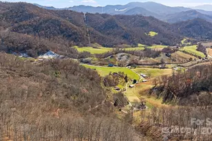 550 Cale Way, Clyde, NC 28721 - Photo 42