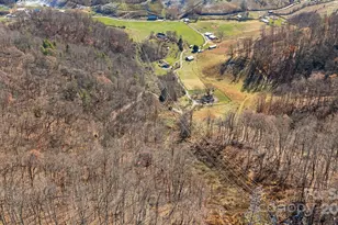 550 Cale Way, Clyde, NC 28721 - Photo 48