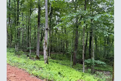 Tbd Junaluska Road, Boone, NC 28607 - Photo 14